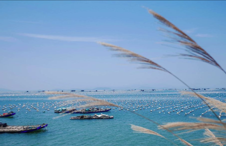 廣東哪個潮汕文化游是什么,潮汕文化游
