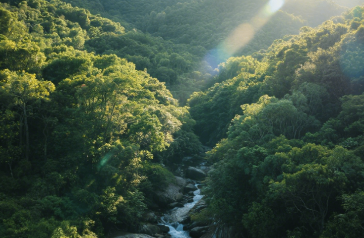 本地汕頭南澳島選擇,汕頭南澳島