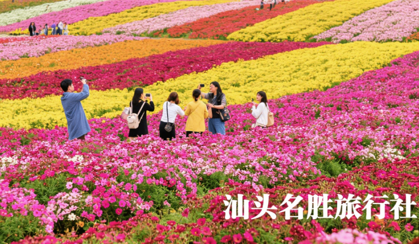 廣東一日游汕頭名勝旅行社避暑游,汕頭名勝旅行社