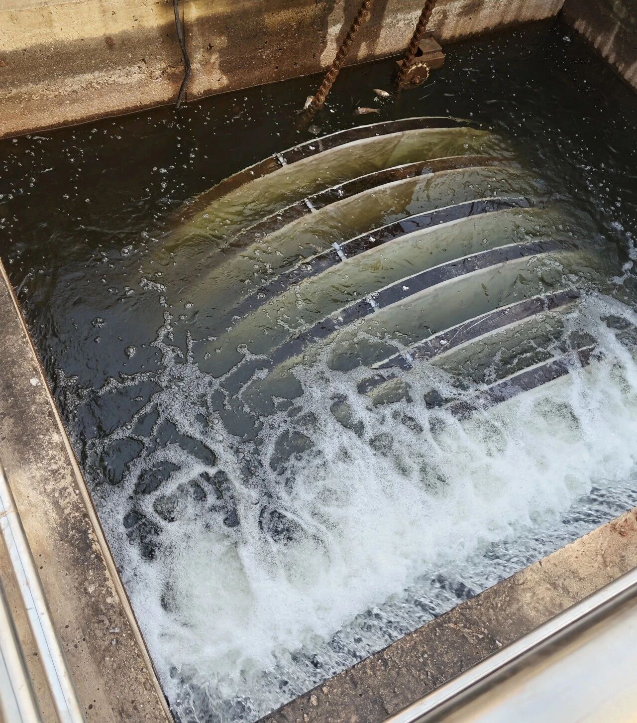 5天高效攻堅(jiān)！鐵錨環(huán)保助力滄州某水廠項(xiàng)目煥新升級(jí)，順利通水運(yùn)行