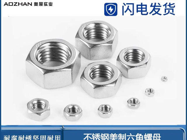 浙江非標(biāo)螺母 嘉興奧展實(shí)業(yè)供應(yīng)