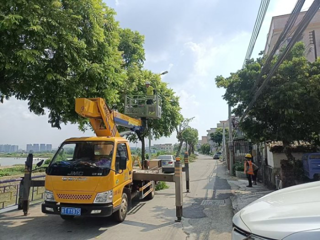 中山樹木造型高空作業(yè)車承包 中山市亮亮綠化工程供應(yīng)