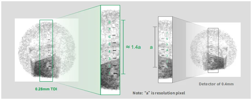X-Ray Inspection Systems for Packed Food|TDI