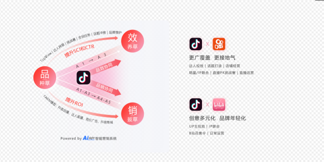 鄭州汽車行業(yè)數(shù)字化營銷內(nèi)容推廣 服務(wù)至上 鄭州奧米文化發(fā)展供應(yīng);