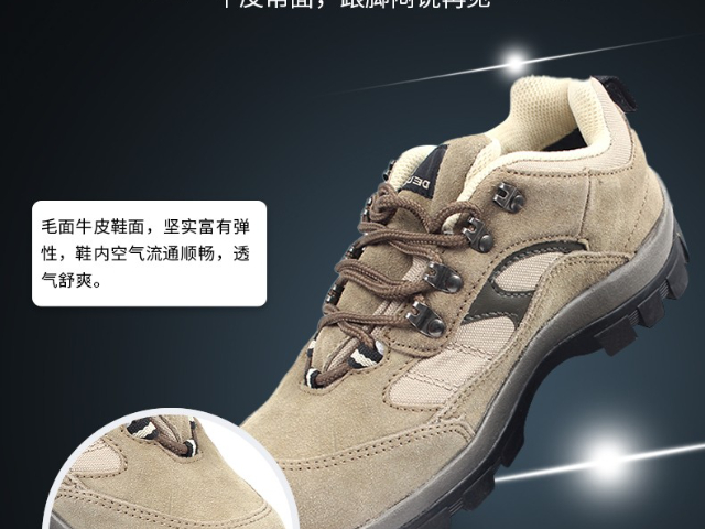 上海比较好的代尔塔咨询问价,代尔塔