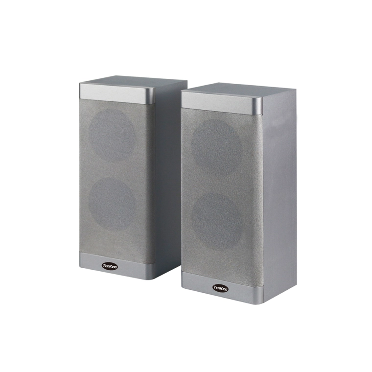 professional speakers for lecture halls