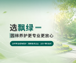 宣传图1
