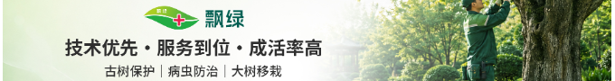 宣传图2