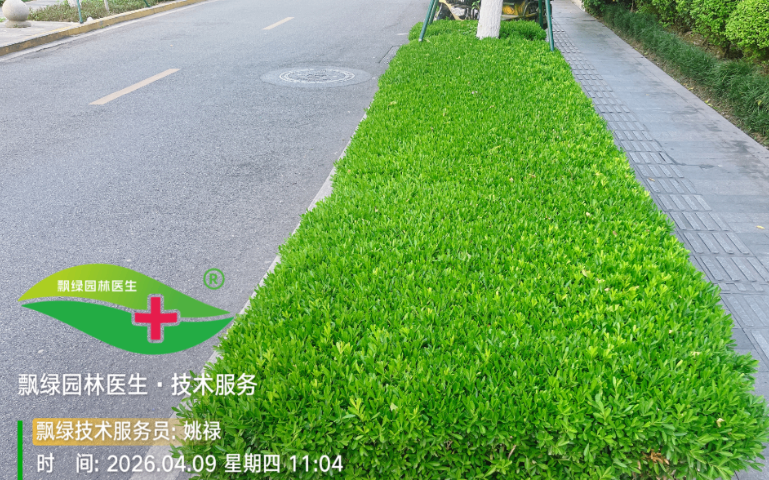 杜鹃杀菌剂,杀菌剂