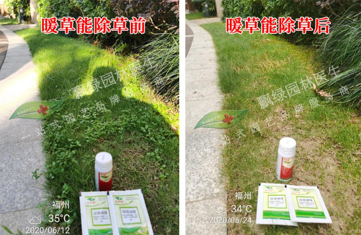 小区除草剂多年生杂草根除药