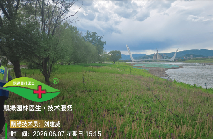 广东榕树杀虫剂,杀虫剂