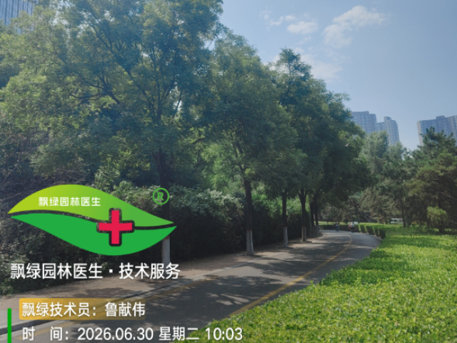 山茶杀菌剂灰斑病防治药剂,杀菌剂