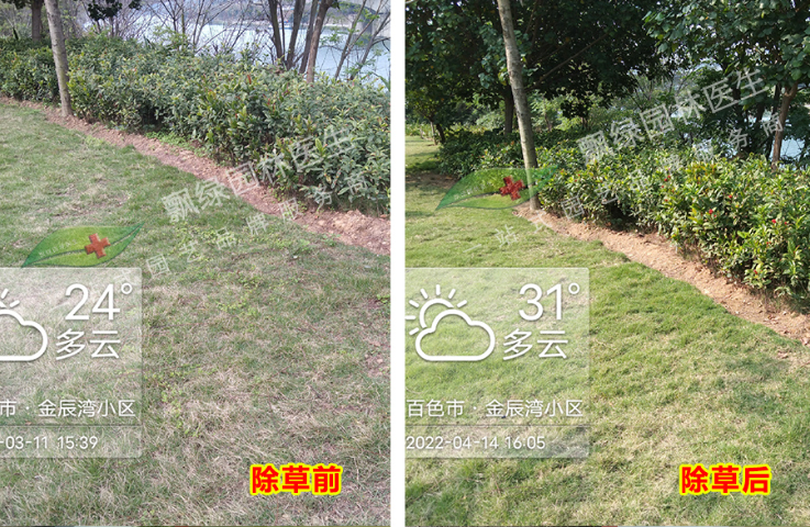 小区除草剂多年生杂草根除药