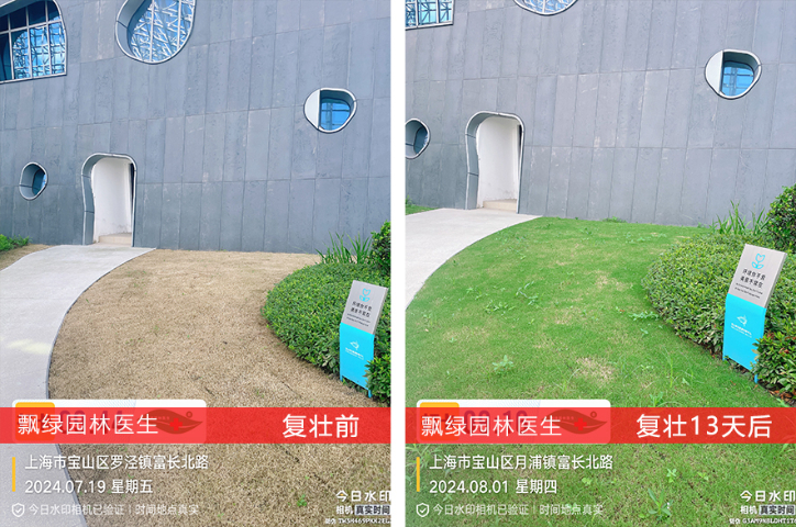 重阳木园林肥料生物有机肥,园林肥料