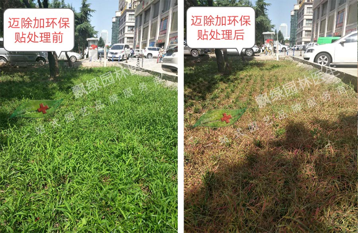海南小区除草剂,除草剂