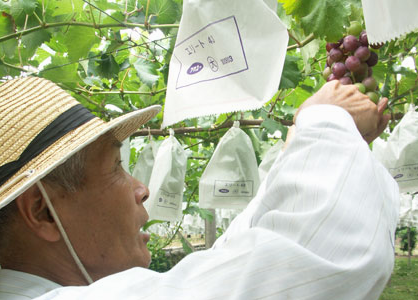 農(nóng)業(yè)養(yǎng)殖