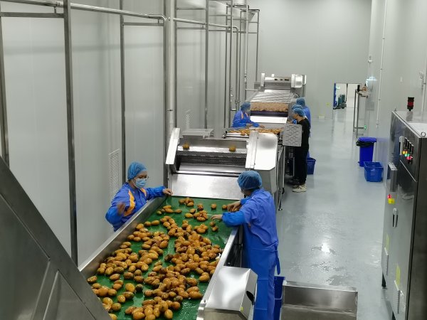 芒果汁加工生産線