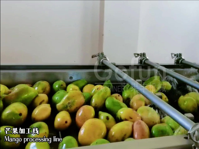 上海智能桃李杏果汁加工生产线采购解决方案,果汁加工生产线