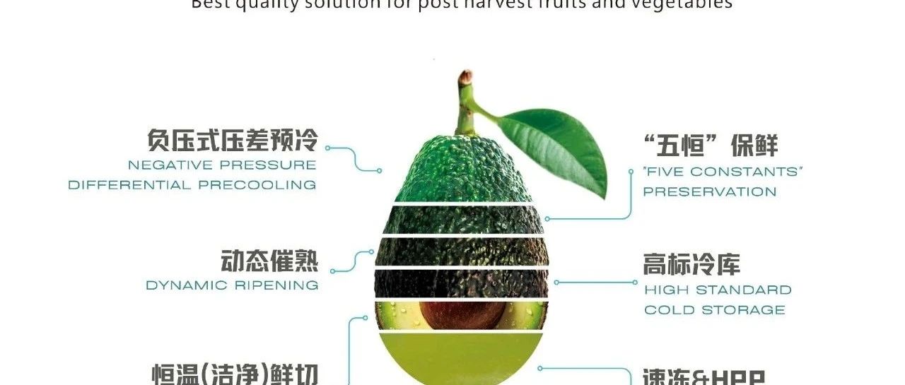 “熟果有方” | 曲牌果業沈陽催熟庫EPC工程項目