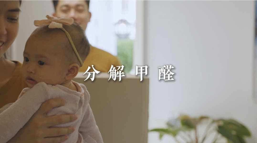 珞興藝術(shù)墻釉石灰洗裝修案例
