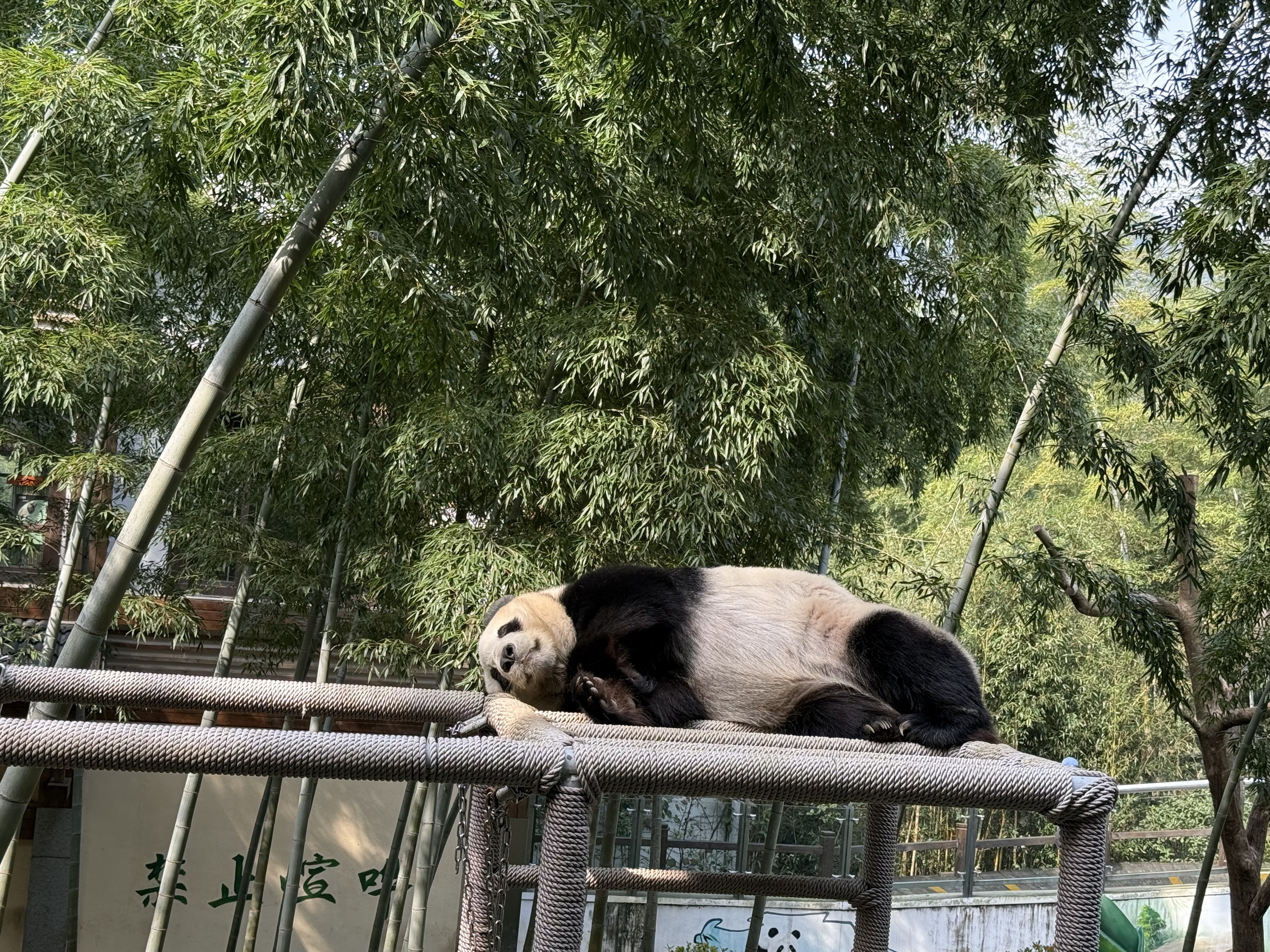 2025-常州天目山團建
