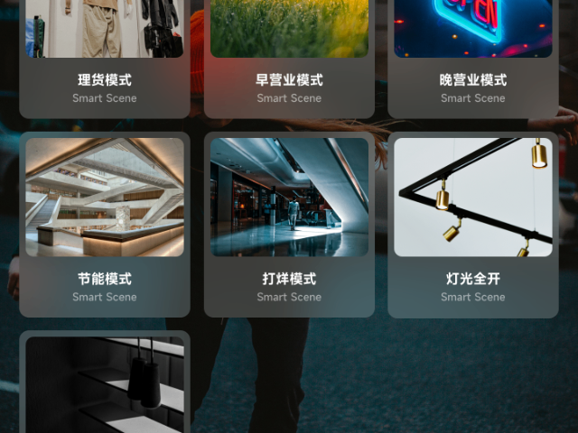 北京商用燈控系統(tǒng)安裝 誠(chéng)信經(jīng)營(yíng) 上海志沛智能科技發(fā)展供應(yīng)