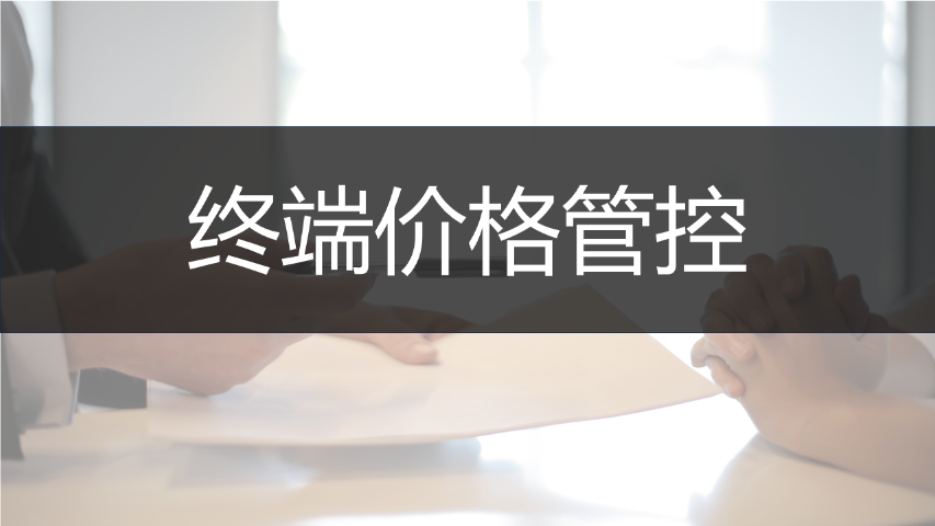 上海機(jī)場(chǎng)市場(chǎng)調(diào)研公司收費(fèi) 創(chuàng)造輝煌 上海賽巖信息咨詢(xún)供應(yīng)