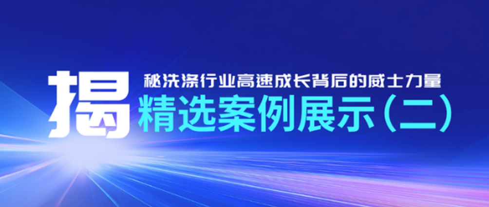 揭秘洗滌行業(yè)高速成長(zhǎng)背后的威士力量——精選案例展示(二）