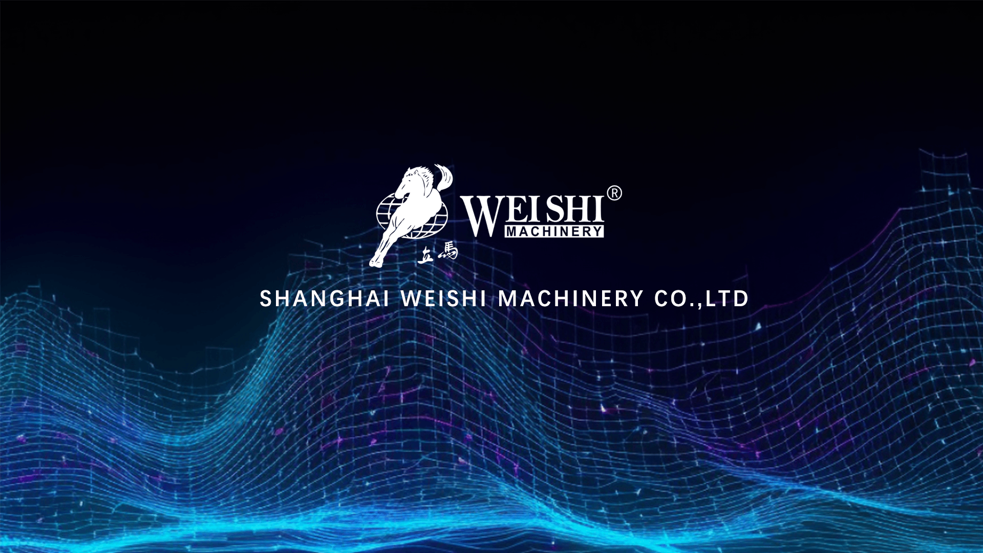 2025 China Laundry Expo WISA Booth On-Site Highlights_Shanghai Weishi ...