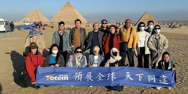 埃及激光焊接机广告展览会