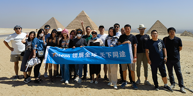 埃及激光焊接机广告展览会,埃及广告展