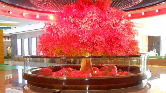 运动系统装置哪家好,装置