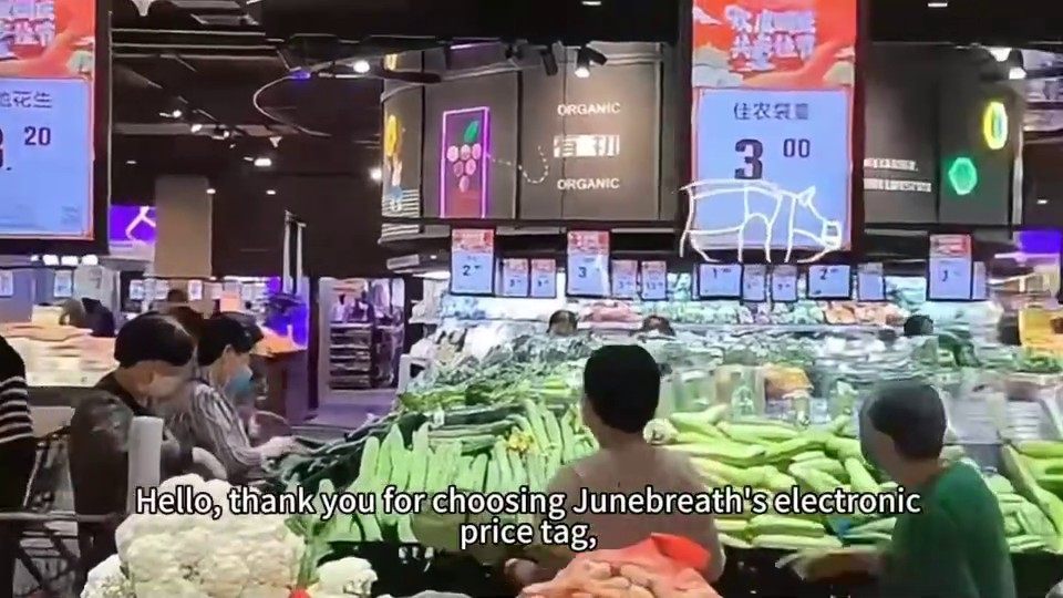 10.2-inch LCD Electronic Screen Easy-to-read E-ink Price Tag Screen NFC ...