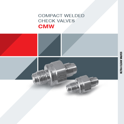 高纯单向阀上海波耀能源科技有限公司