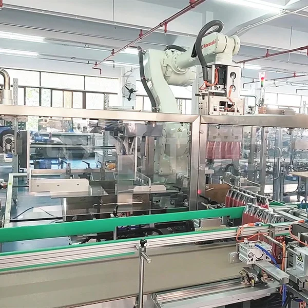 Intelligent Carton Packaging Line