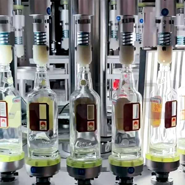 Empty wine bottle inspection machine