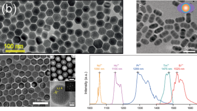 江蘇全光譜近紅外二區(qū)稀土探針生產(chǎn)企業(yè) 和諧共贏 上海數(shù)聯(lián)生物科技供應(yīng)
