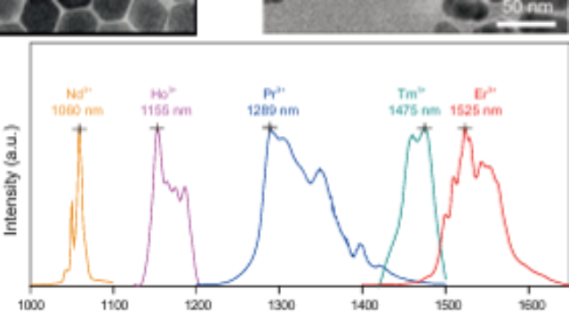 江蘇近紅外二區(qū)稀土探針?biāo)饺硕ㄗ?值得信賴 上海數(shù)聯(lián)生物科技供應(yīng)