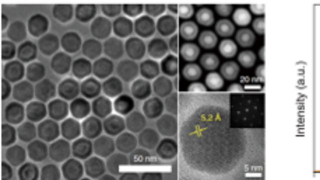 上海數聯近紅外二區稀土探針市場報價 誠信經營 上海數聯生物科技供應