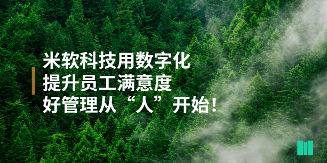 武漢企業(yè)人力資源管理系統(tǒng)設計 深圳市米軟科技供應