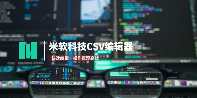珠海企业CSV编辑查看器方案