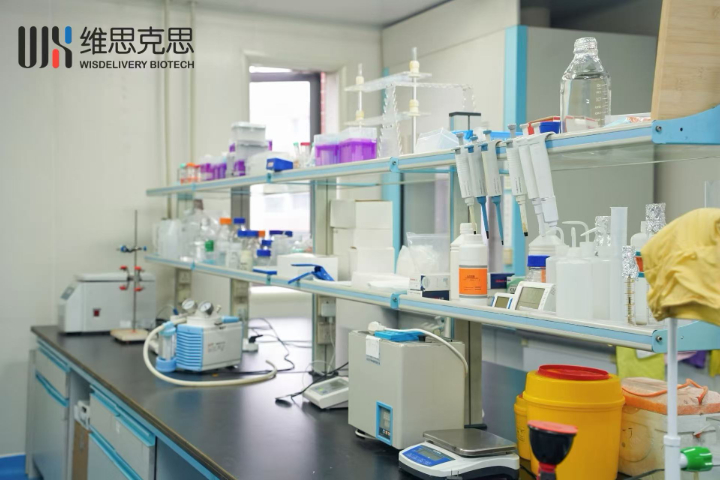 鐵皮石斛sEVs功能研究 維思克思生物科技供應(yīng);