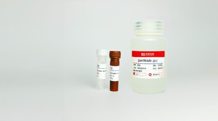 蘋果胞外囊泡廠家供應 維思克思生物科技供應;