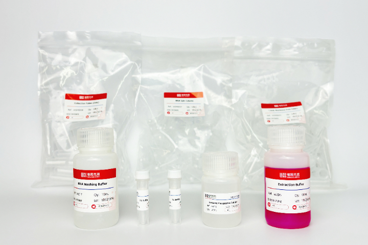 益生菌Exosome廠家直銷 維思克思生物科技供應(yīng)