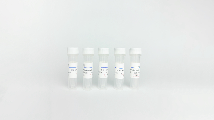 细胞上清Extracellular Vesicles代谢组,外泌体