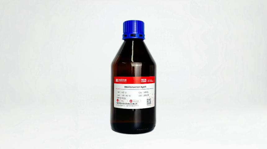 HEK293Extracellular Vesicles细胞实验