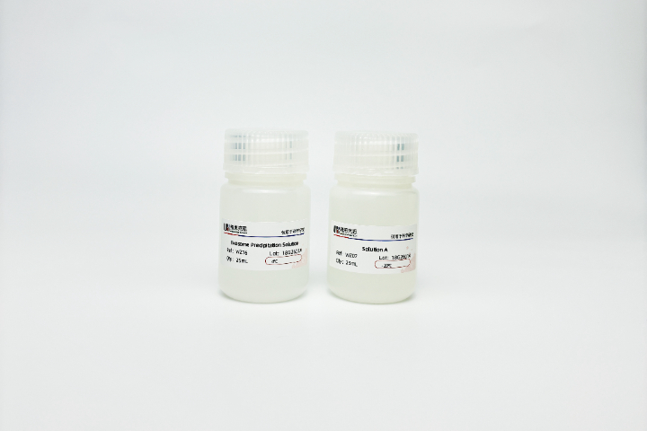 地黃EVs應用研究 維思克思生物科技供應