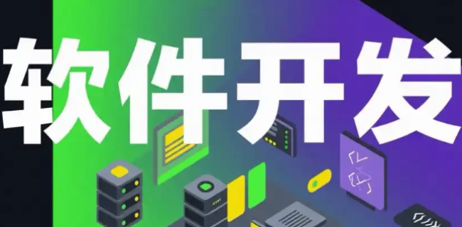 徐匯區提供定制化軟件開發供應商