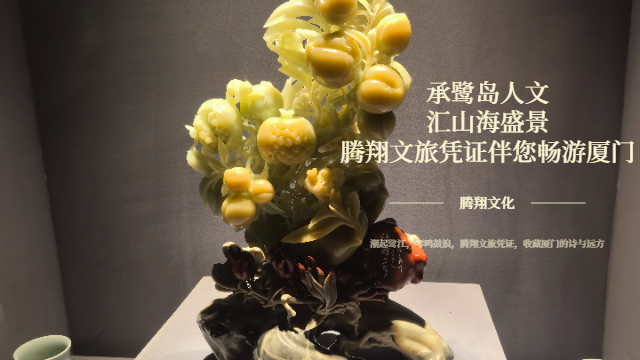 漳州官方文旅憑證可視化,文旅憑證