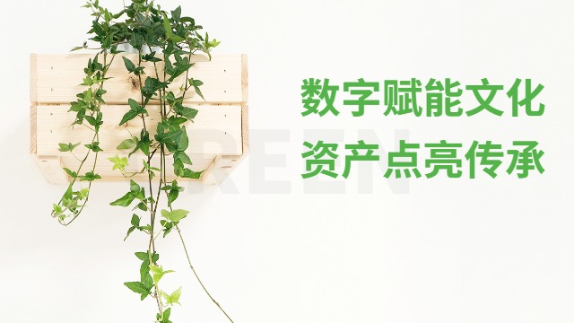 正規(guī)文化數(shù)字資產(chǎn)功能,文化數(shù)字資產(chǎn)